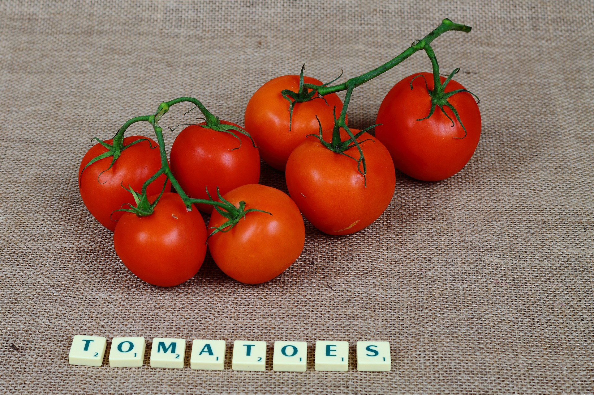 Nejsladší odrůdy rajčat – jednotlivé druhy a jejich vlastnosti